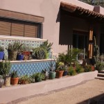 Small pots