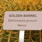 Engraved labels