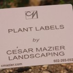Plant label 2" X 4"