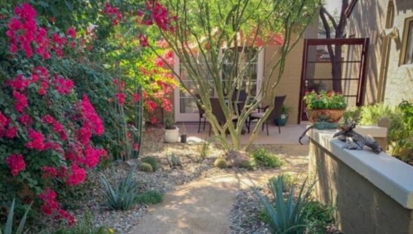 Landscape Design And Construction Temple City thumbnail
